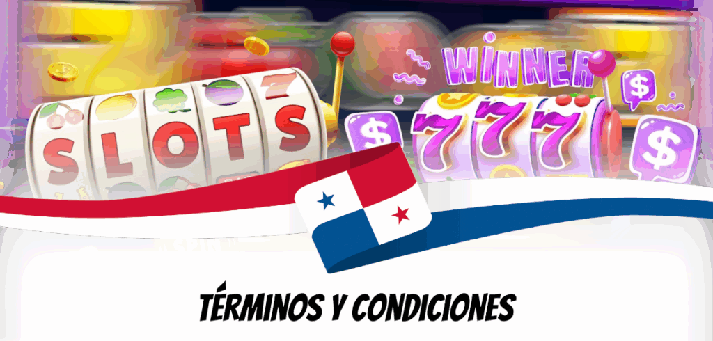Términos y Condiciones